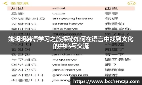 姚明明韩语学习之旅探秘如何在语言中找到文化的共鸣与交流